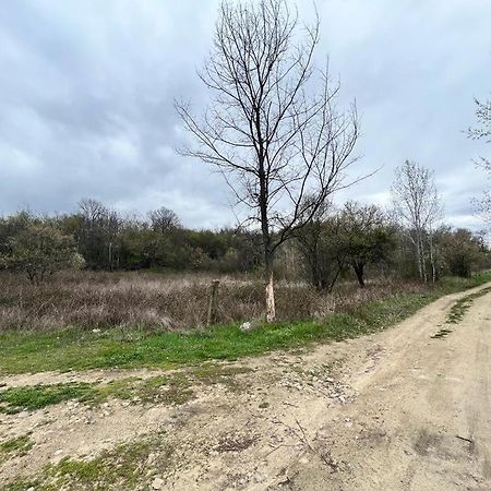Къмпинг Частен Двор Bulgarian Campsite For Tents Kazanlŭk Esterno foto