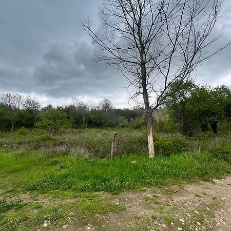 Къмпинг Частен Двор Bulgarian Campsite For Tents Kazanlŭk Esterno foto